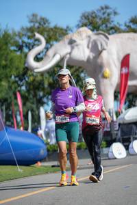 BIB: 
                            <button type="button" onclick="openModal(26544261)" class="btn btn-primary btn-sm float-right btn-popup" data-toggle="modal" data-target=".modal-high-quality">
                        <i class="fas fa-shopping-cart"></i> Add to Cart
                    </button>
                                            <button type="button" onclick="isThisMe(26544261, true)" class="btn btn-success btn-sm float-right btn-popup btn-isme hidden" data-toggle="tooltip" data-placement="bottom" title="นี่คือรูปของคุณใช่ไหม คลิกที่นี่เพื่อเอาเข้าอัลบั้ม">
                        <i class="fas fa-plus"></i> Add to album
                    </button>
                    <button type="button" onclick="isThisMe(26544261, false)" class="btn btn-warning btn-sm float-right btn-popup btn-isnotme hidden">
                        <i class="fas fa-ban"></i> Remove from album
                    </button>